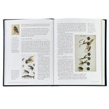 The History of Fly Fishing in Fifty Flies