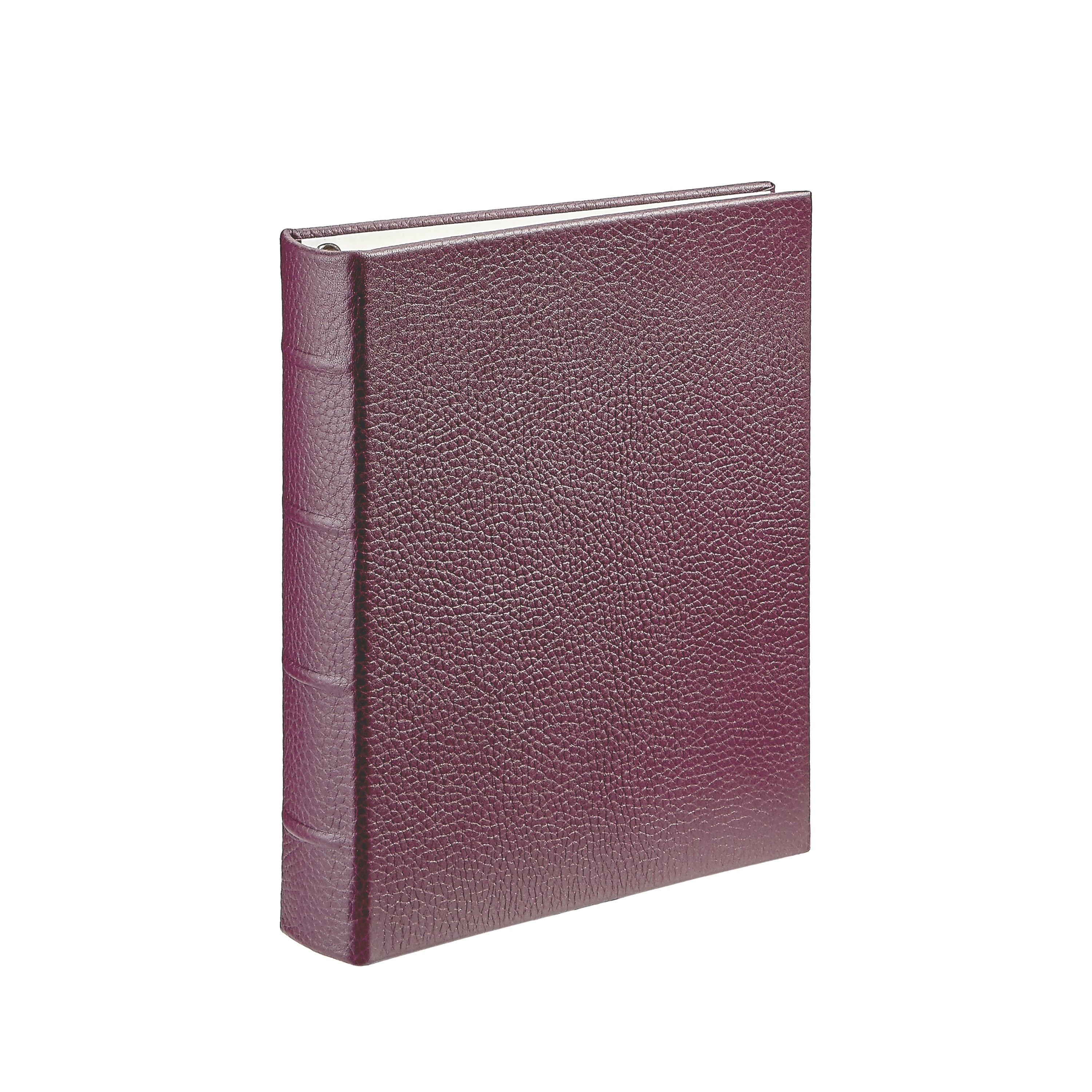 Medium 4-Ring Clear Pocket Album