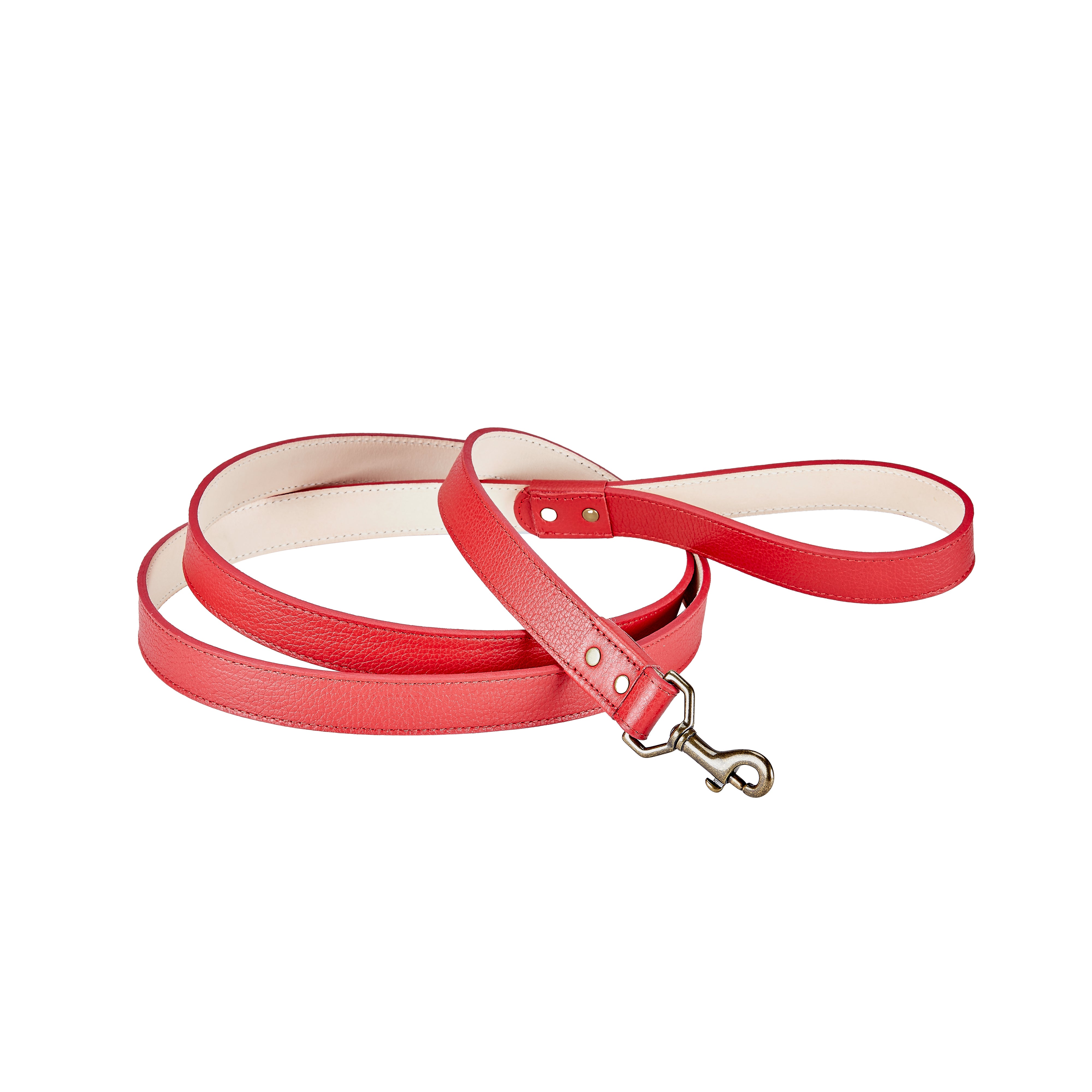4" Foot Dog Leash