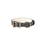 Small Dog Collar