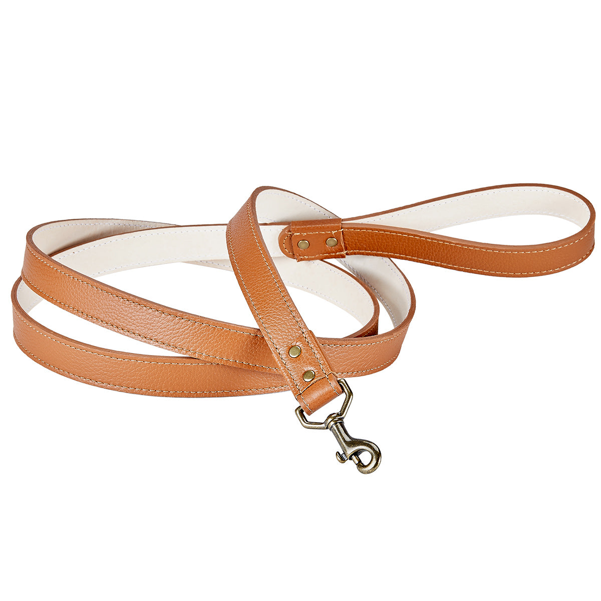 6 Foot Dog Leash
