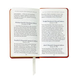 United States Constitution